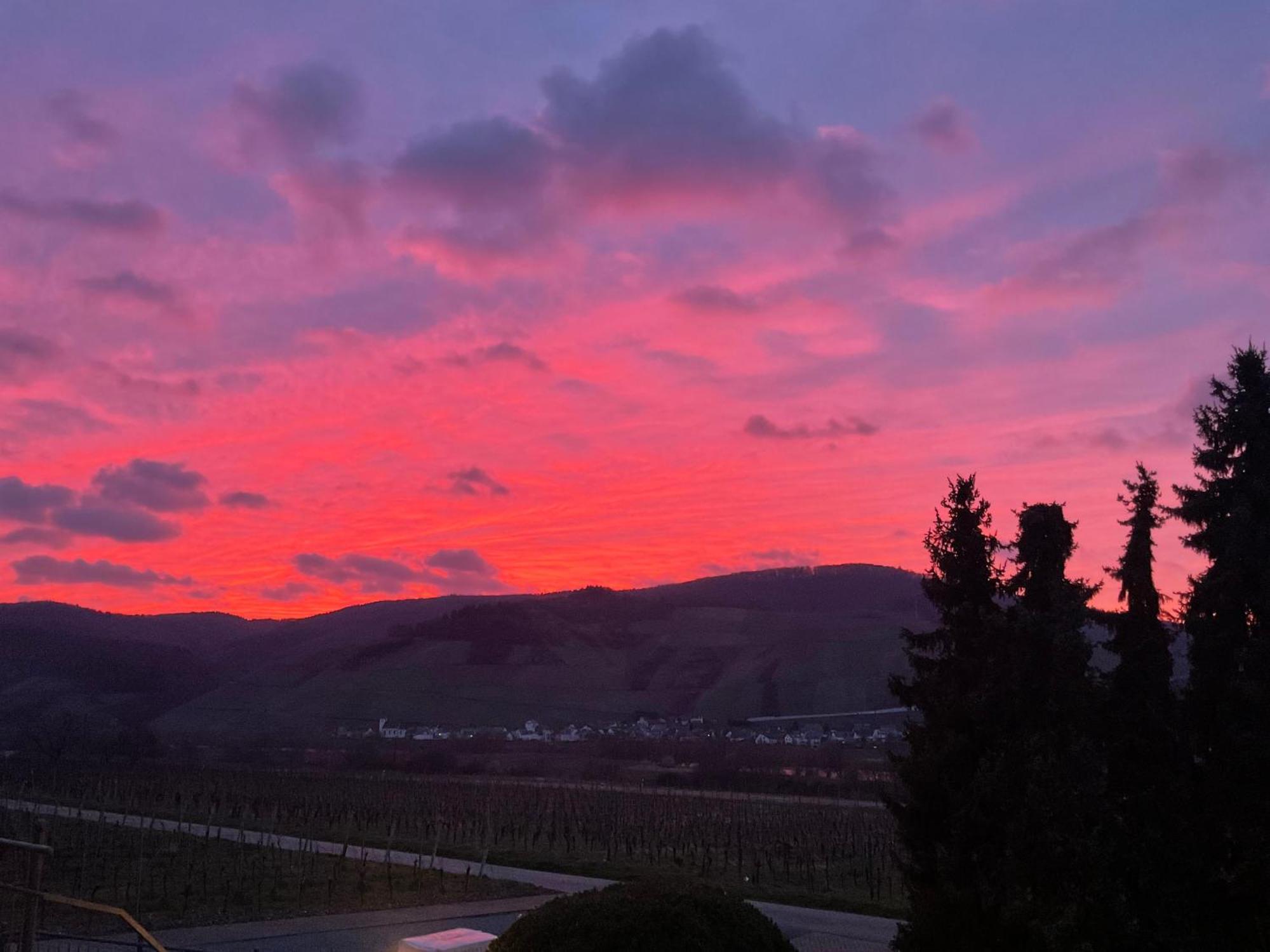 Hotel Weingut Bastian Brauneberg Exteriér fotografie